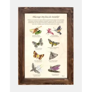 Tablica drewniana - Dekoracyjna tablica na ścianę