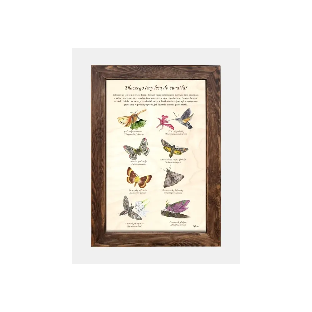 Tablica drewniana - Dekoracyjna tablica na ścianę