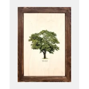 Tablica drewniana - Akacja: Stylowy dodatek do Twojego wnętrza
