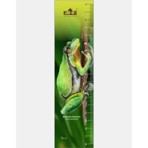 Zakładka edukacyjna RZEKOTKA DRZEWNA - Idealna do nauki czytania