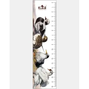 Zakładka edukacyjna PTAKI - Doskonały prezent dla miłośników