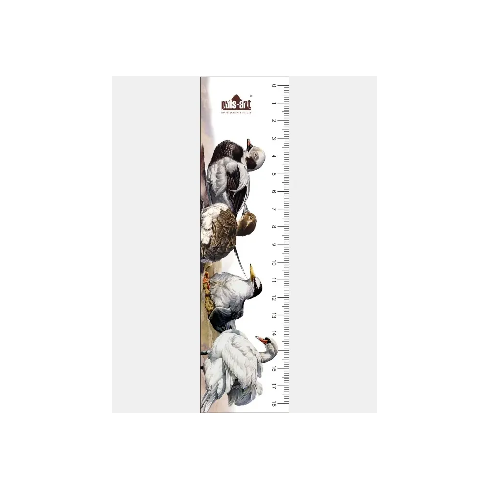 Zakładka edukacyjna PTAKI - Doskonały prezent dla miłośników