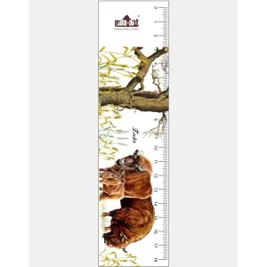 Zakładka edukacyjna ŻUBRY - Doskonały gadżet dla miłośnikó