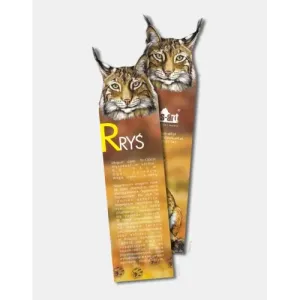 Zakładka przestrzenna RYŚ - Praktyczne rozwiązanie do oznaczan