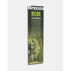 Zakładka Twoje drzewo życia BRZOZA - Personalizowany prezent