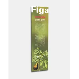 Zakładka Twoje drzewo życia FIGA - unikalny dodatek do książk