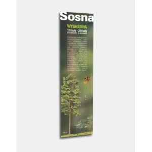 Zakładka Twoje drzewo życia SOSNA - Wyjątkowy dodatek do ksią