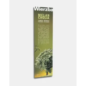 Zakładka Twoje drzewo życia WIERZBA - piękna i personalizowana