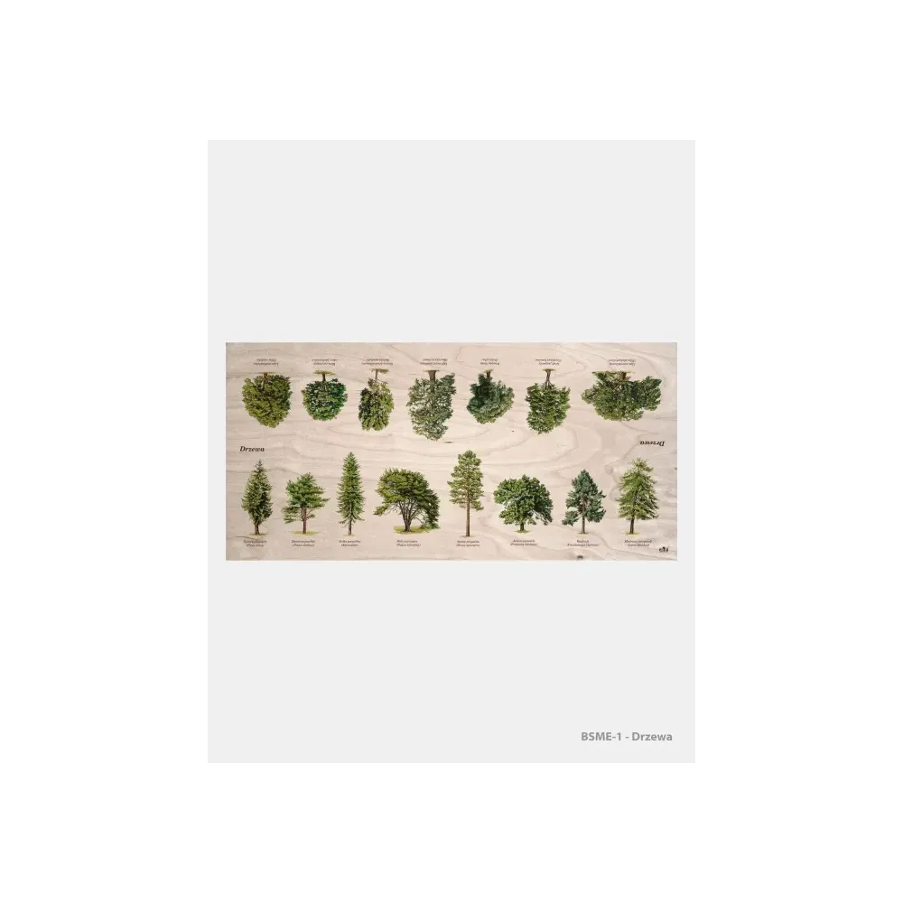 Stół edukacyjny "Drzewa" - Dębowe meble edukacyjne