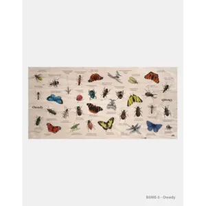 Dębowe meble edukacyjne - Stół edukacyjny "Owady" | Sklep Mebl