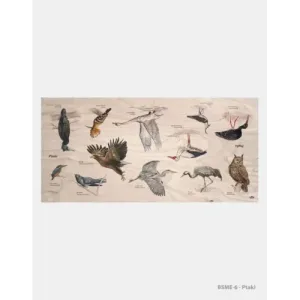 Stół edukacyjny "Ptaki" - Dębowe meble dla dzieci