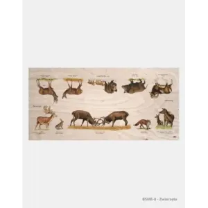 Stół edukacyjny "Zwierzęta" - Dębowe meble dla dzieci