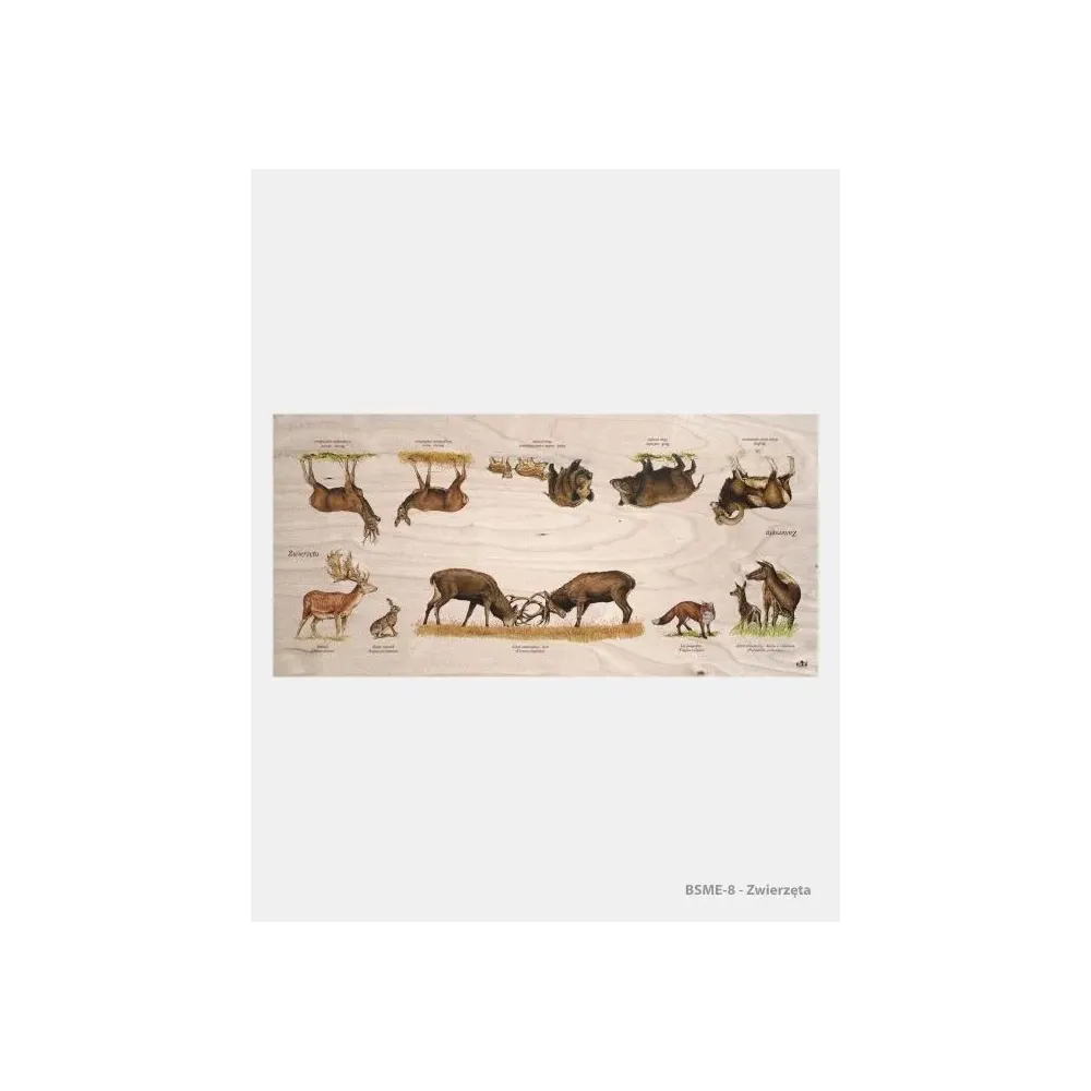 Stół edukacyjny "Zwierzęta" - Dębowe meble dla dzieci