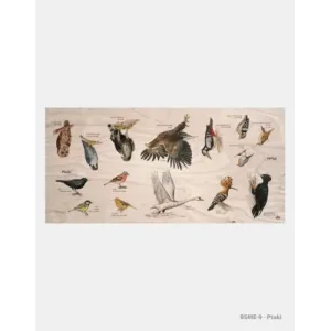 Stół edukacyjny "Ptaki" - Dębowe meble edukacyjne