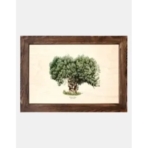 Tablica drewniana - Drzewo oliwne