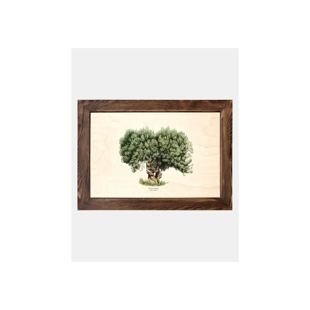 Tablica drewniana - Drzewo oliwne