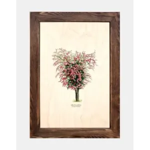 Tablica drewniana - Głóg dwuszyjkowy