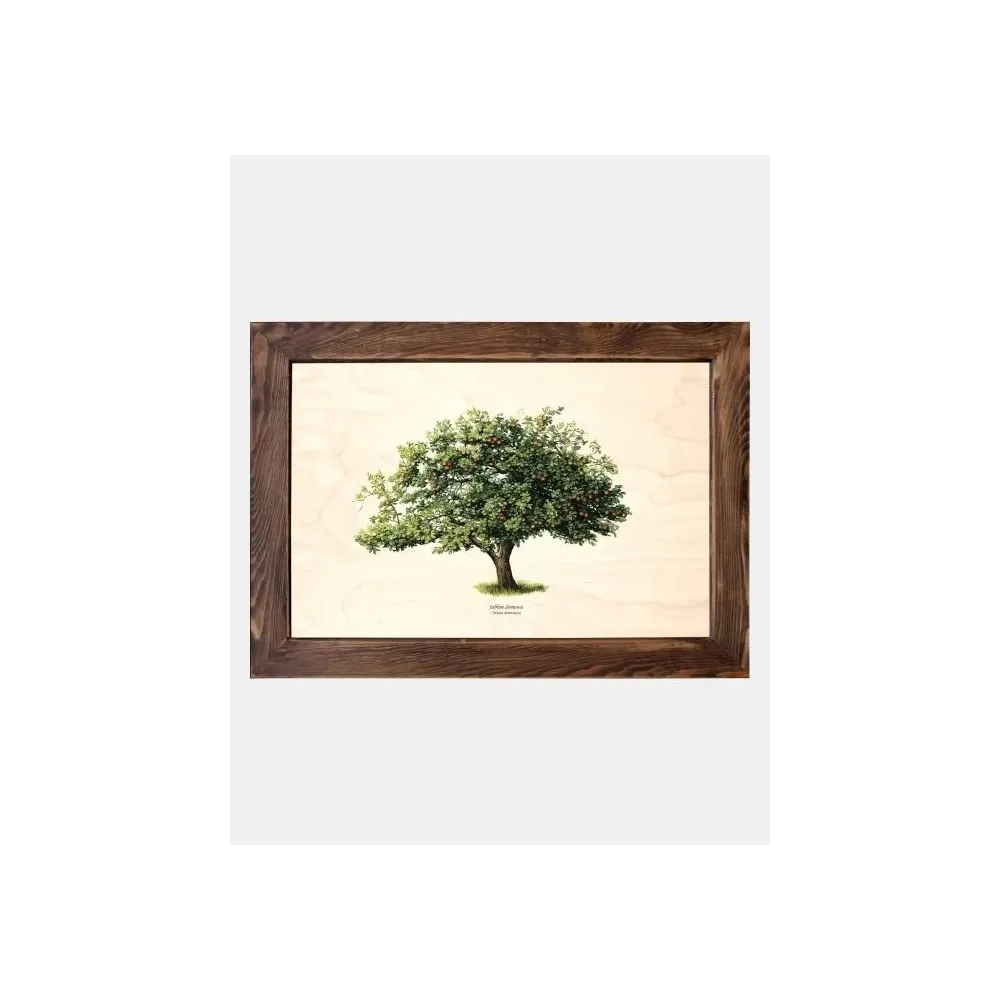 Tablica drewniana - Jabłoń domowa