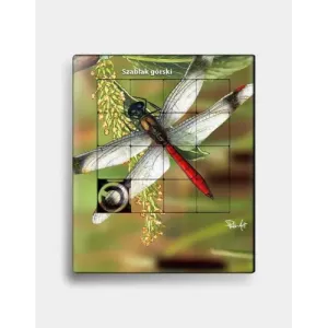 Plastikowa układanka WAŻKA I