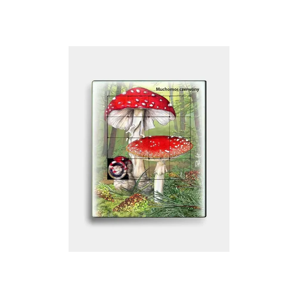 Plastikowa układanka MUCHOMOR CZERWONY