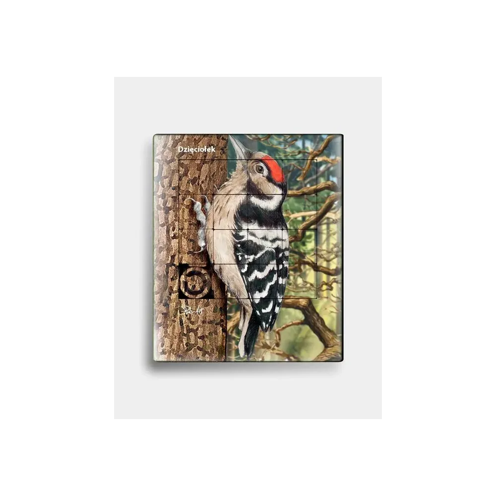 Plastikowa układanka DZIĘCIOŁEK - zabawka edukacyjna dla dziec