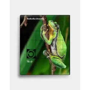 Plastikowa układanka RZEKOTKA DRZEWNA - Zabawny zestaw do nauki