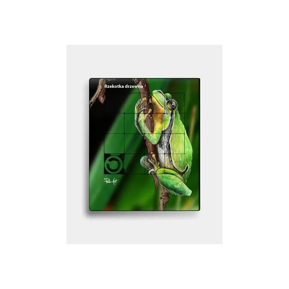 Plastikowa układanka RZEKOTKA DRZEWNA - Zabawny zestaw do nauki