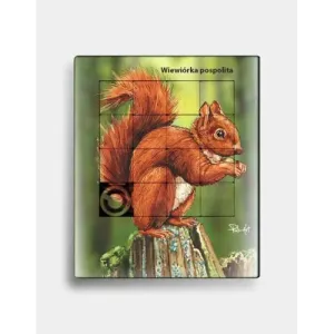 Plastikowa układanka WIEWIÓRKA - zabawka edukacyjna dla dzieci