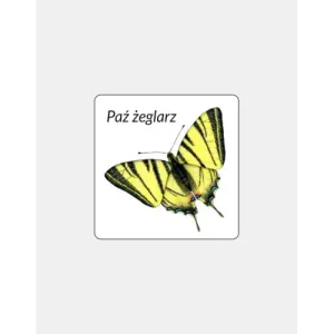 Magnes PVC PAŹ ŻEGLARZ - Idealny prezent dla miłośników żeg