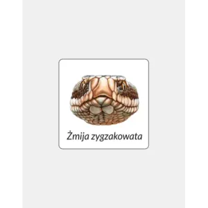 Magnes PVC ŻMIJA - Wyjątkowy gadżet magnetyczny