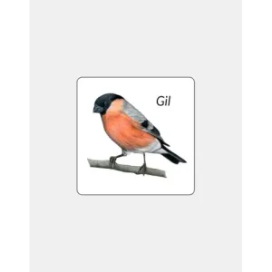 Magnes PVC GIL - Wyjątkowy magnes na lodówkę