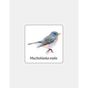 Magnes PVC MUCHOŁÓWKA MAŁA - Skuteczna pułapka na muchy