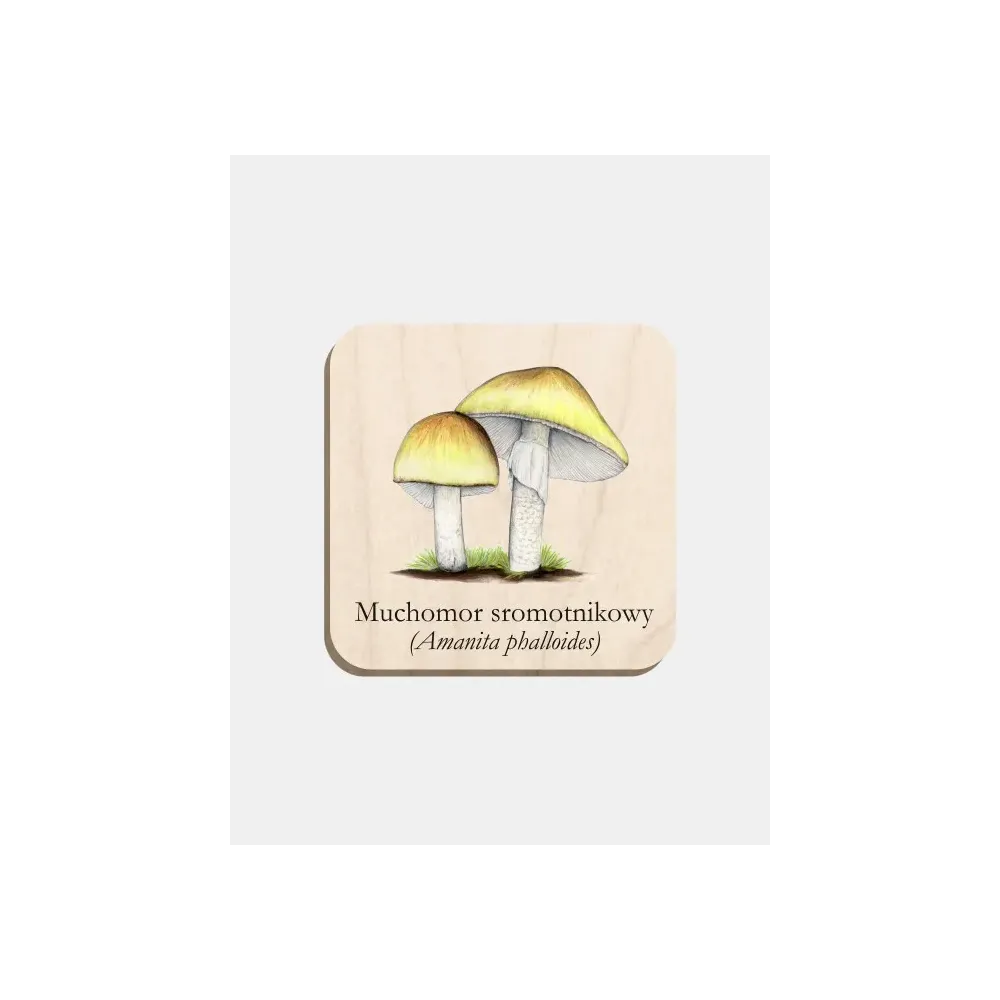 Magnes drewniany MUCHOMOR SROMOTNIKOWY - unikalna dekoracja