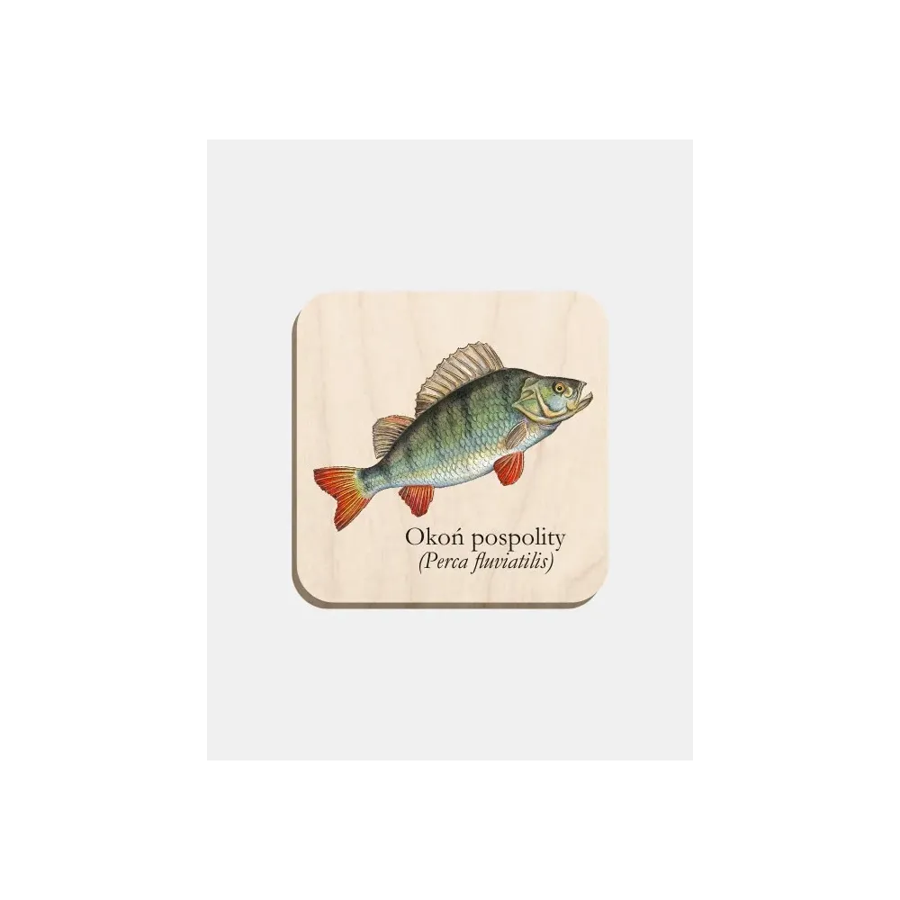 Magnes drewniany OKOŃ POSPOLITY - unikalna dekoracja do Twojego