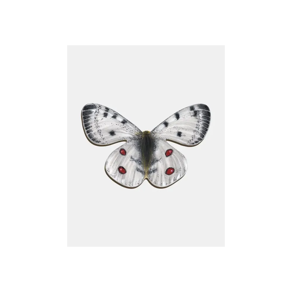 Magnes drewniany NIEPYLAK APOLLO - elegancki i praktyczny dodatek