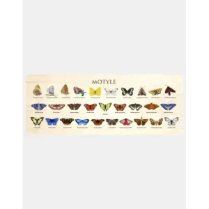 Wyjątkowy blat szkolny MOTYLE - idealny do nauki i zabawy