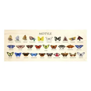 Wyjątkowy blat szkolny MOTYLE - idealny do nauki i zabawy