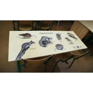 Blat szkolny PTAKI ŚPIEWAJĄCE - Wyjątkowy design dla Twojego b