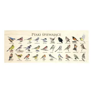 Blat szkolny PTAKI ŚPIEWAJĄCE - Wyjątkowy design dla Twojego b