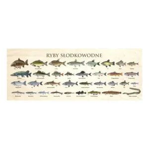 Blat szkolny RYBY SŁODKOWODNE - Idealny wybór dla maluchów!