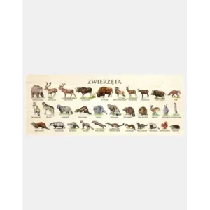 Blat szkolny ZWIERZĘTA - Kolorowy i praktyczny blat dla dzieci