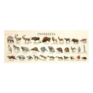 Blat szkolny ZWIERZĘTA - Kolorowy i praktyczny blat dla dzieci