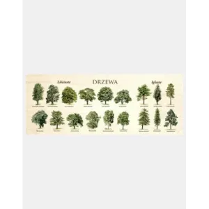 Blat szkolny DRZEWA - Wytrzymały i stylowy blat do szkoły