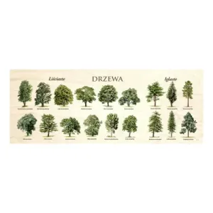 Blat szkolny DRZEWA - Wytrzymały i stylowy blat do szkoły