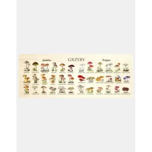 Blat szkolny GRZYBY - Stylowy dodatek do każdej sali lekcyjnej