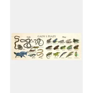 Blat szkolny GADY I PŁAZY - Idealny do nauki i zabawy