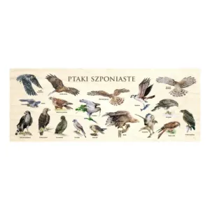 Blat szkolny PTAKI SZPONIASTE - Idealny do nauki i zabawy