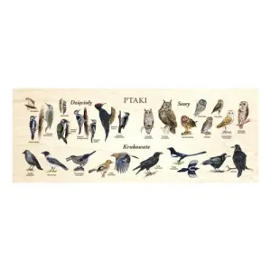 Blat szkolny MOTYLE - Kolorowy i funkcjonalny