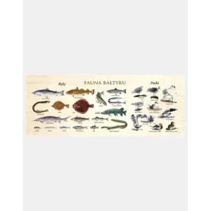 Blat szkolny FAUNA BAŁTYKU - Idealny wybór dla Twojej przestrze