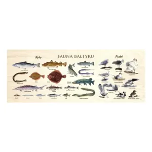 Blat szkolny FAUNA BAŁTYKU - Idealny wybór dla Twojej przestrze